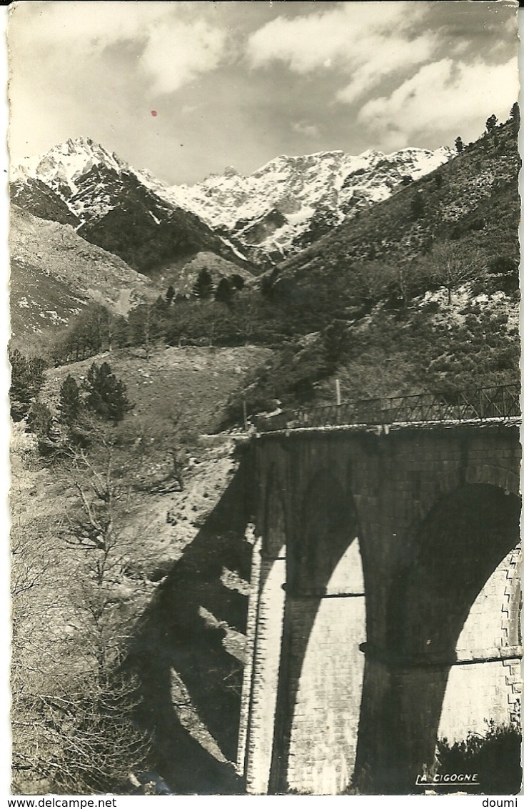 20  VIZZAVONA  Le Route Du Col Carte  NB Glacée  écrite En 1951 - Autres & Non Classés