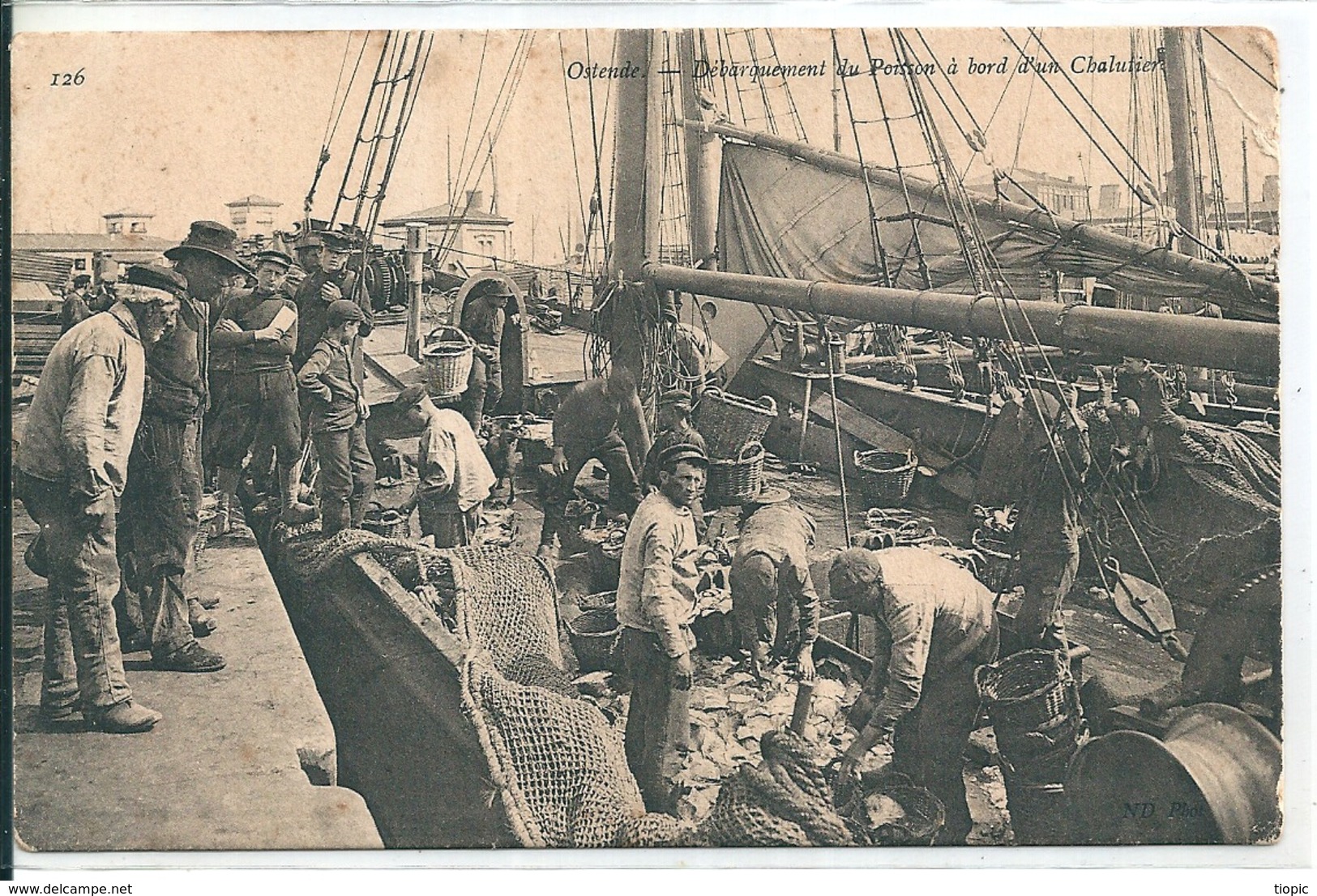 Superbe  Cpa  D' OSTENDE  ( Belgique )  Débarquement Du Poisson à Bord D'un Chalutier . - Oostende