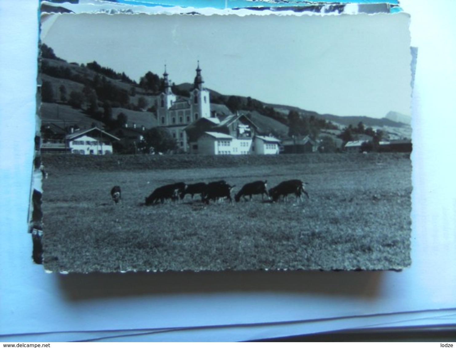 Oostenrijk Österreich Tirol Brixen Im Thale Nordtirol - Brixen Im Thale