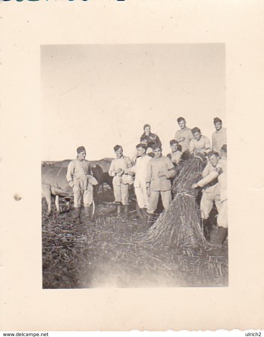 Foto Deutsche Soldaten Als Erntehelfer Mit Strohgarben - 2. WK - 5,5*4cm (41203) - Krieg, Militär