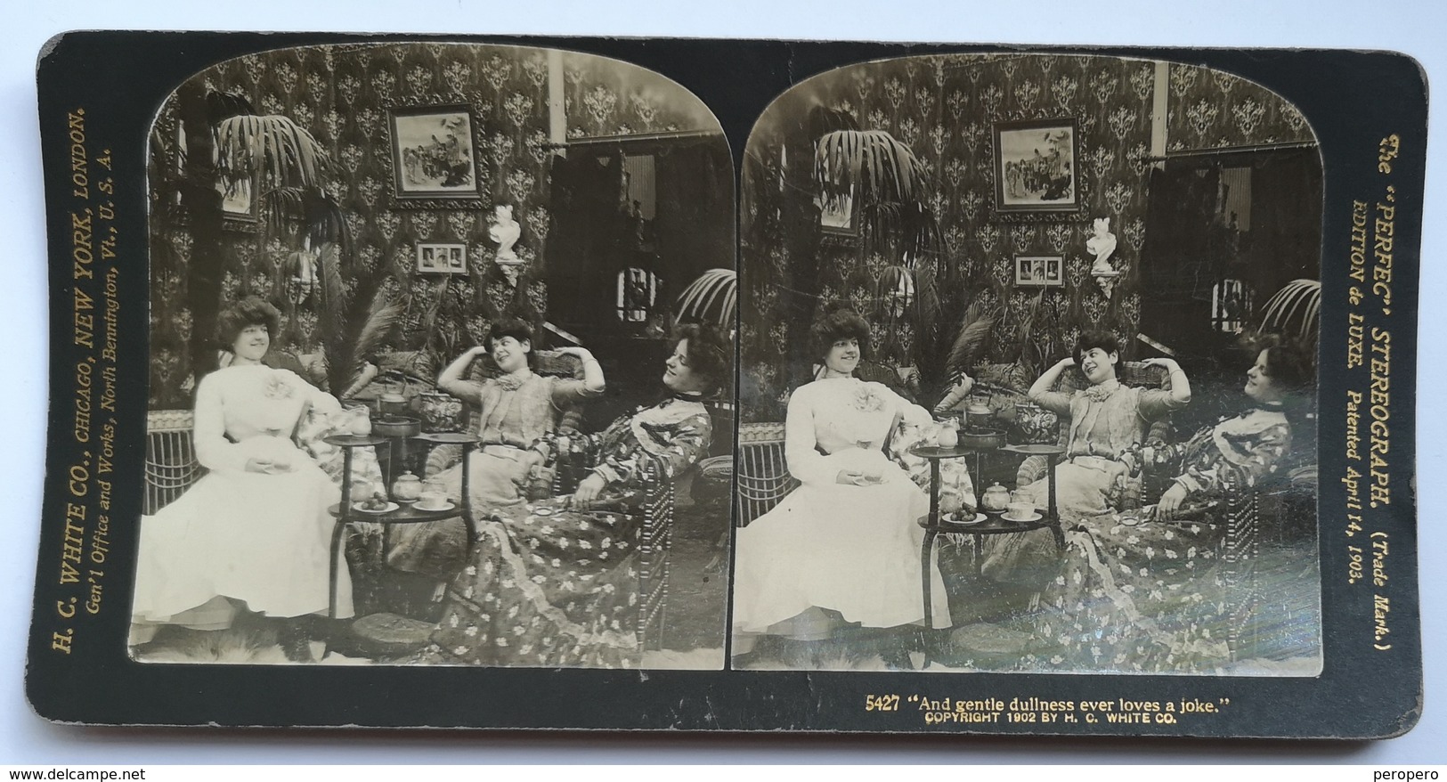 PHOTO STEREOSCOPIC STEREO FRAUEN GIRLS  FASHION 1902. - Stereo-Photographie