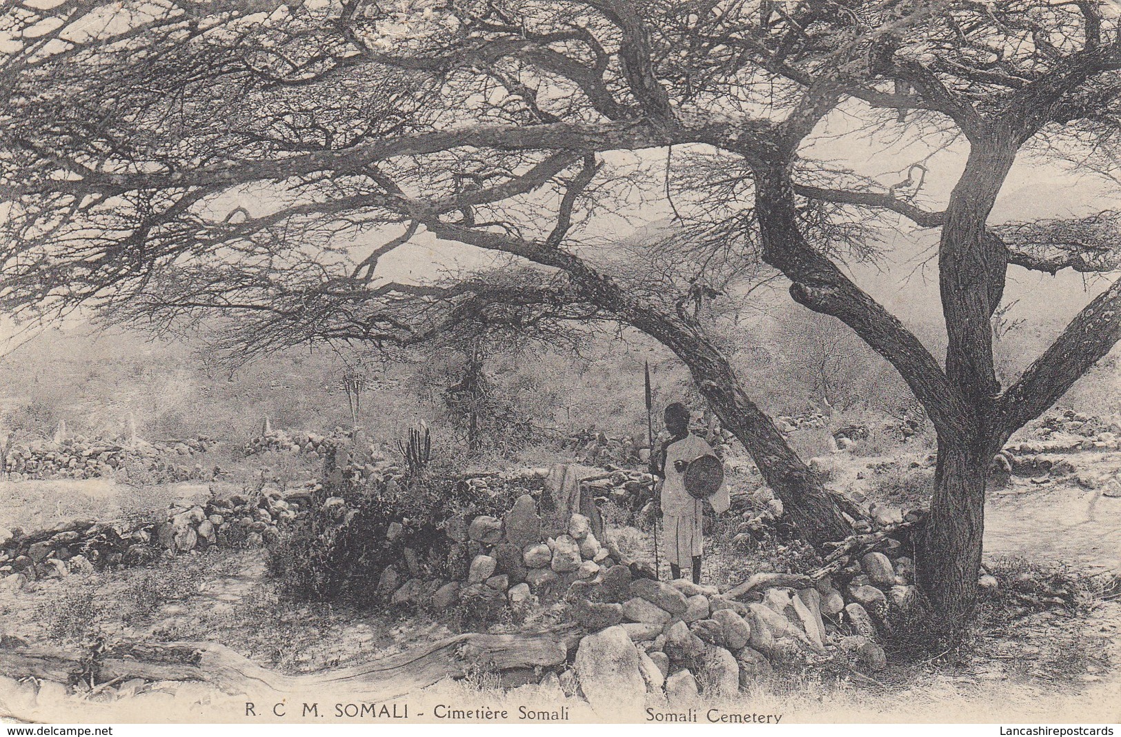 Postcard Cimetiere Somali Somali Cemetery My Ref  B13255 - Somalia