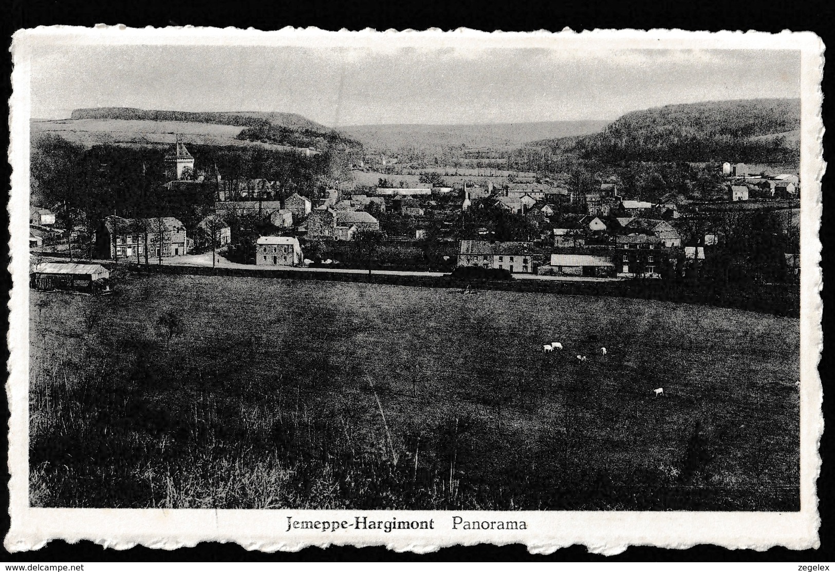 Jemeppe-Hargimont - Panorama - Jemeppe-sur-Sambre