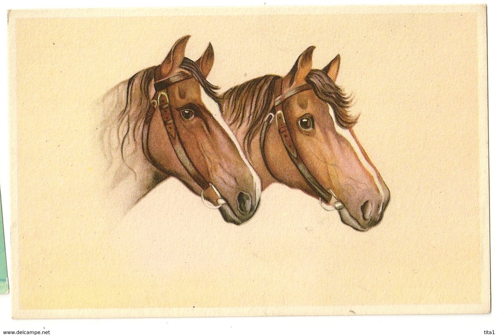 38 - Chevaux - Chevaux