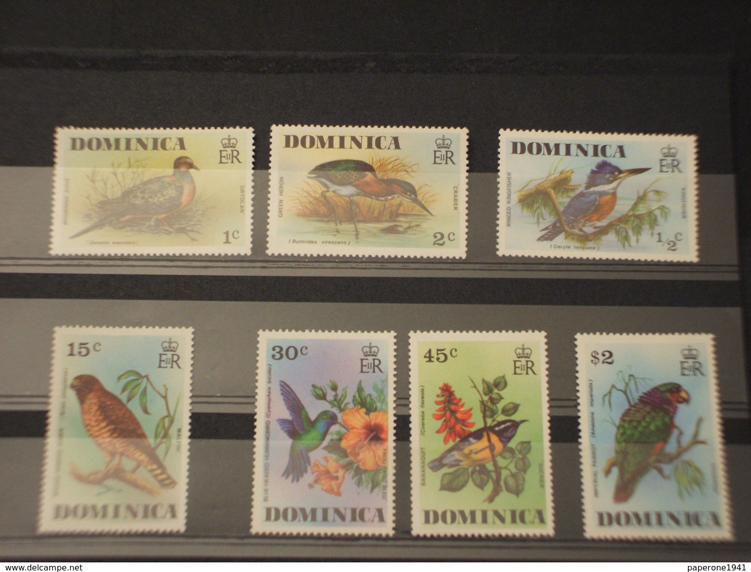 DOMINICA - 1976 UCCELLI 7  VALORI  - NUOVI(++) - Dominica (1978-...)