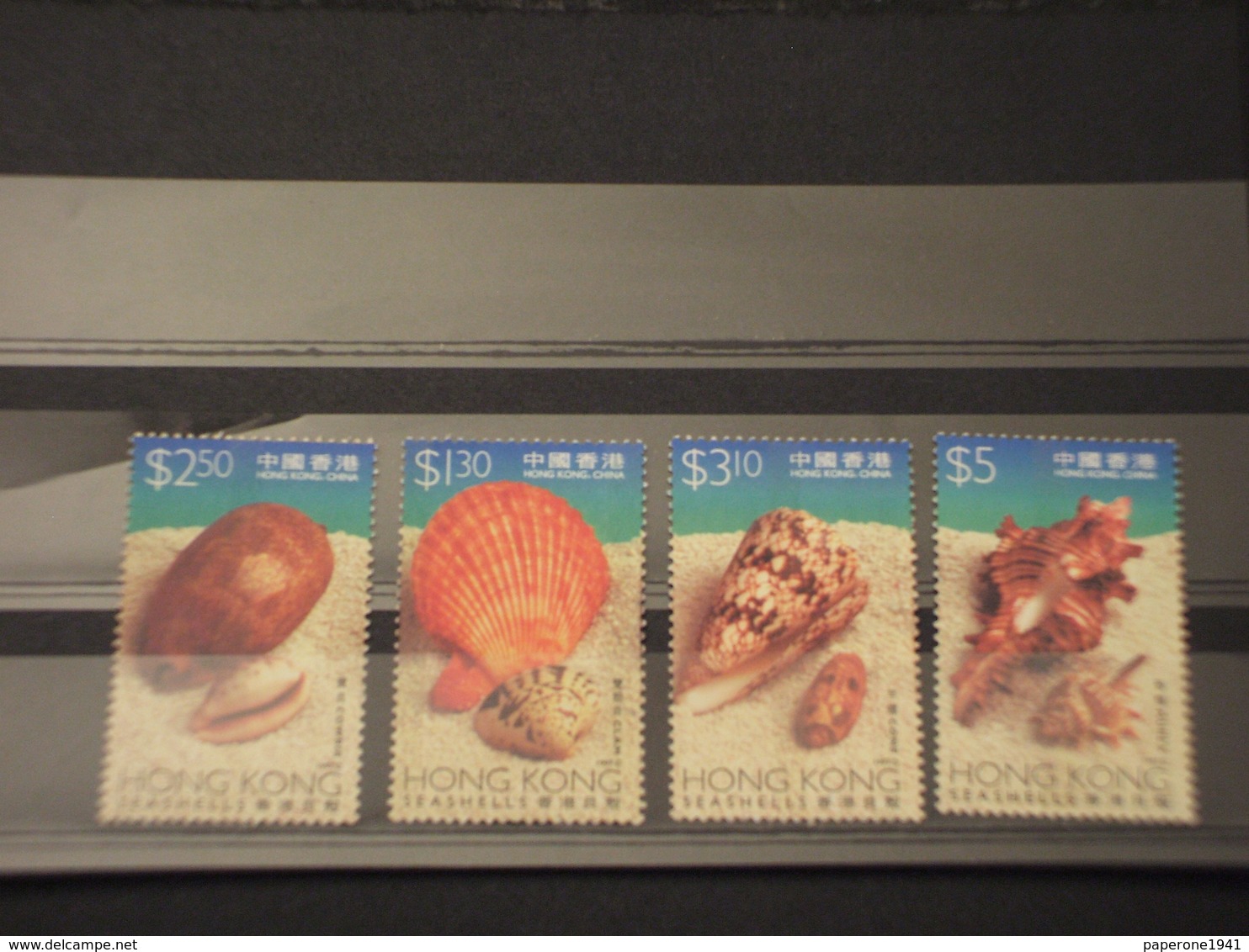 IHONG KONG - 1997 CONCHIGLIE 4  VALORI - NUOVI(++) - Unused Stamps