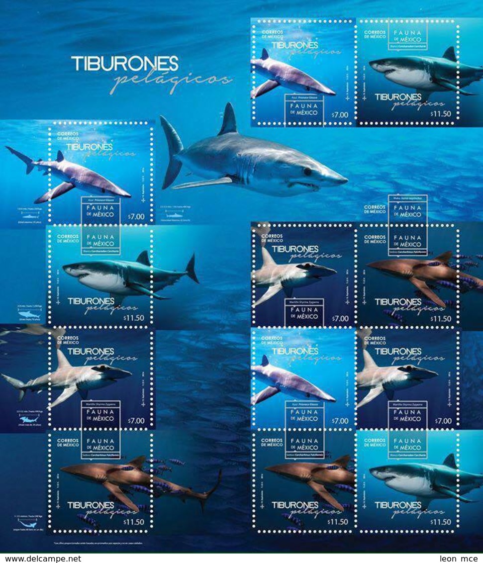 2016   Fauna De México, Tiburones Pelagicos HOJA SOUVENIR MNH SHARKS IN MEXICO  Sheet  Of 12 Stamps MARINE LIFE - México