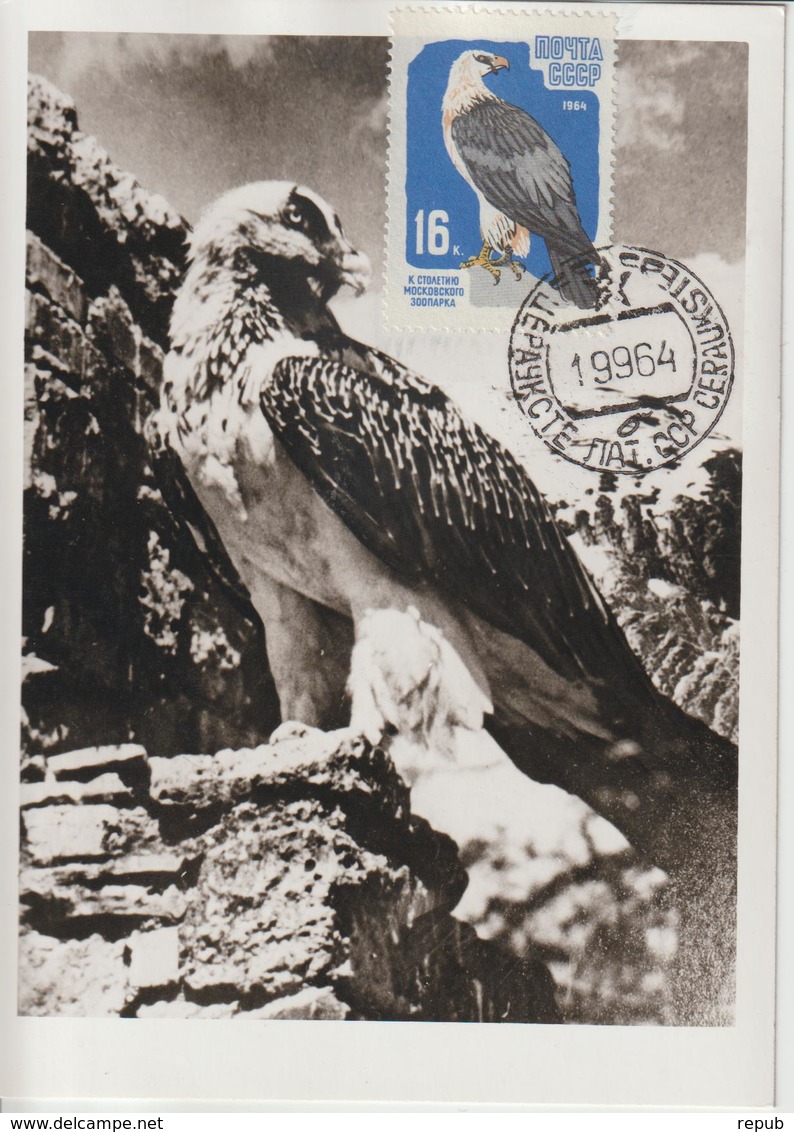 Russie Carte Maximum Oiseaux 1964 Faucon 2826 - Maximumkaarten