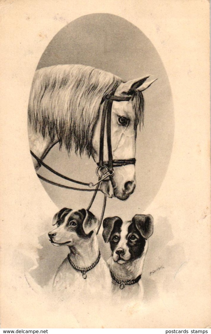 Pferd, Hunde, Sign. Künstlerkarte, Um 1910 - Pferde