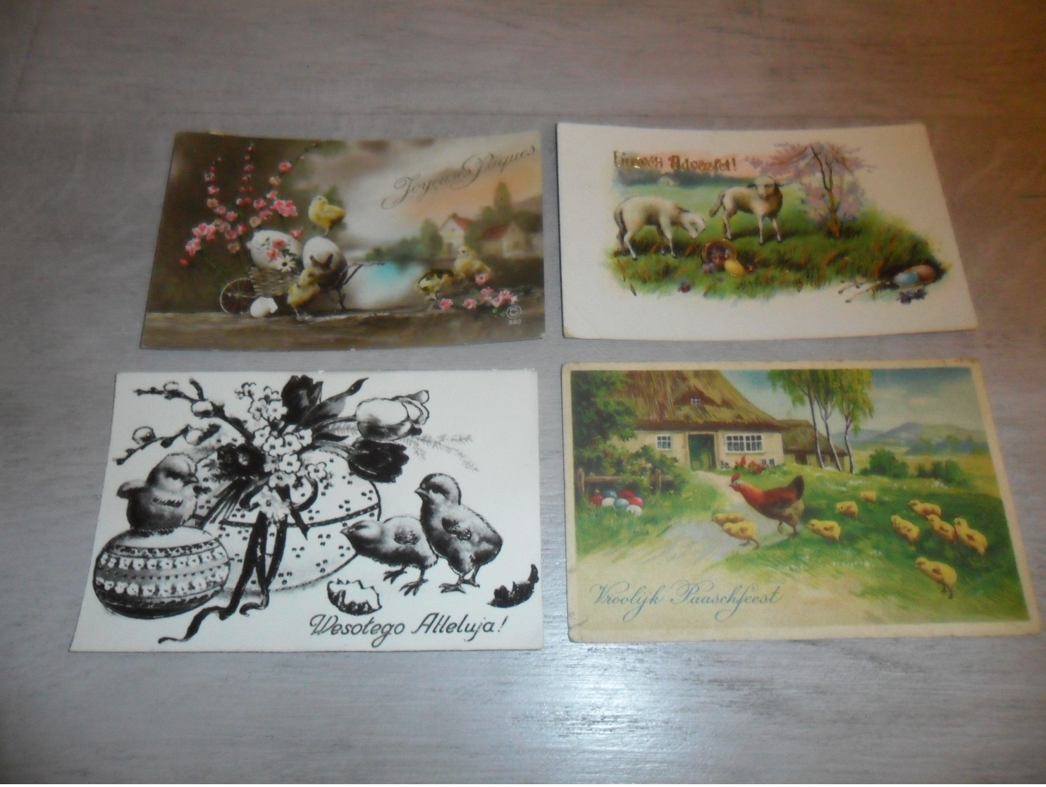 Beau lot de 60 cartes postales de fantaisie  Pâques   Mooi lot 60 postkaarten van fantasie  Pasen -  60 scans