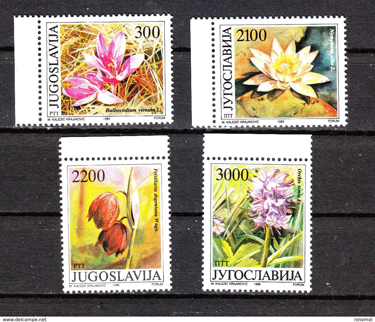 Jugoslavia   -  1989. Orchidea, Ninfea, Fritillaria, Liliacea. Orchid, Nymphea, Fritillaria, Liliacea. MNH - Orchidee