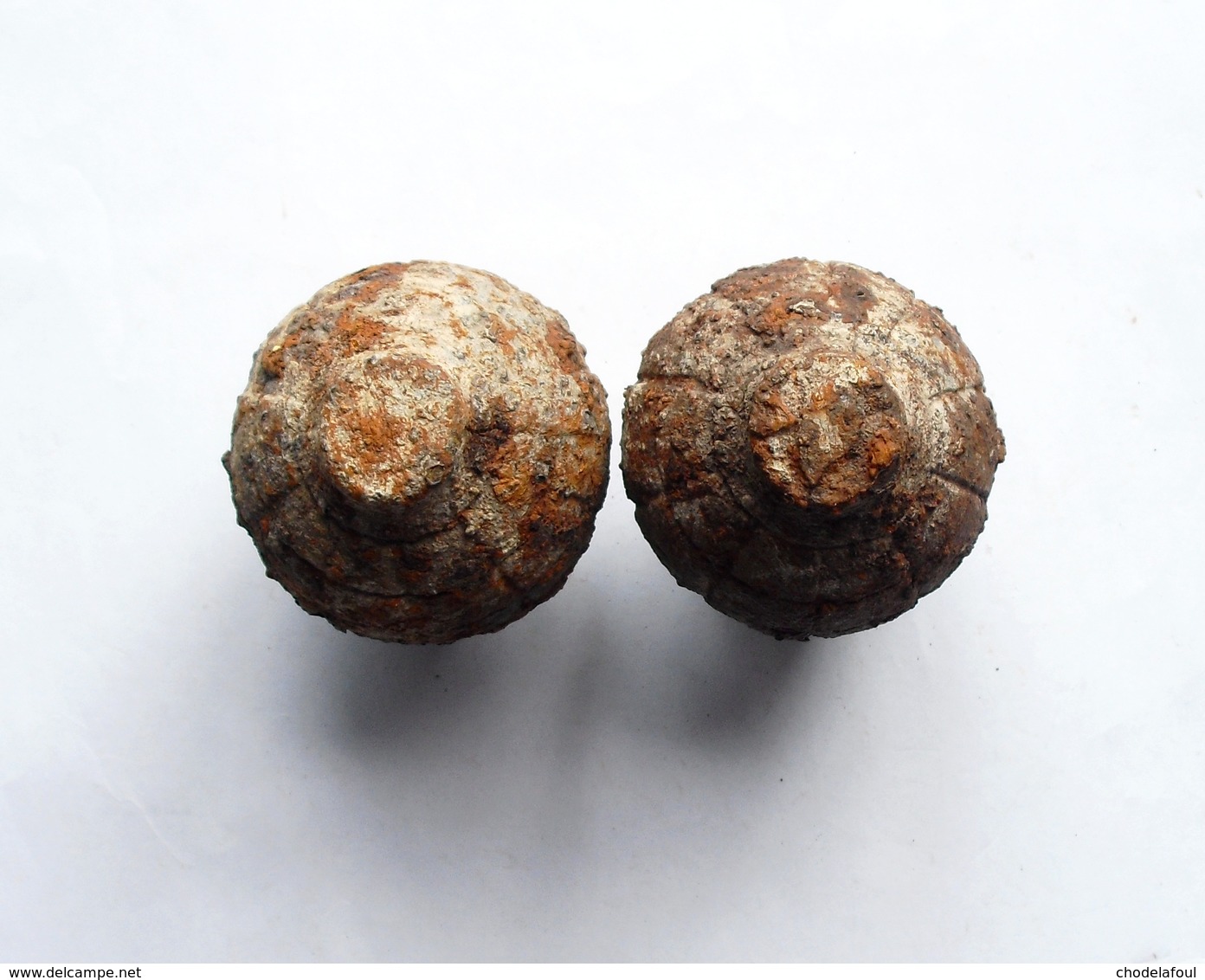 Lot 2 Grenades Citron Foug INERTE 1914  1918 Ww1 (1) - 1914-18