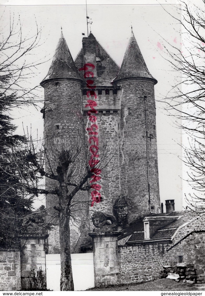 23- JOUILLAT- L' ALTIER CHATEAU EST GARDE PAR 2 LIONS EN PIERRE - RARE PHOTO ORIGINALE GUINOT - Lieux