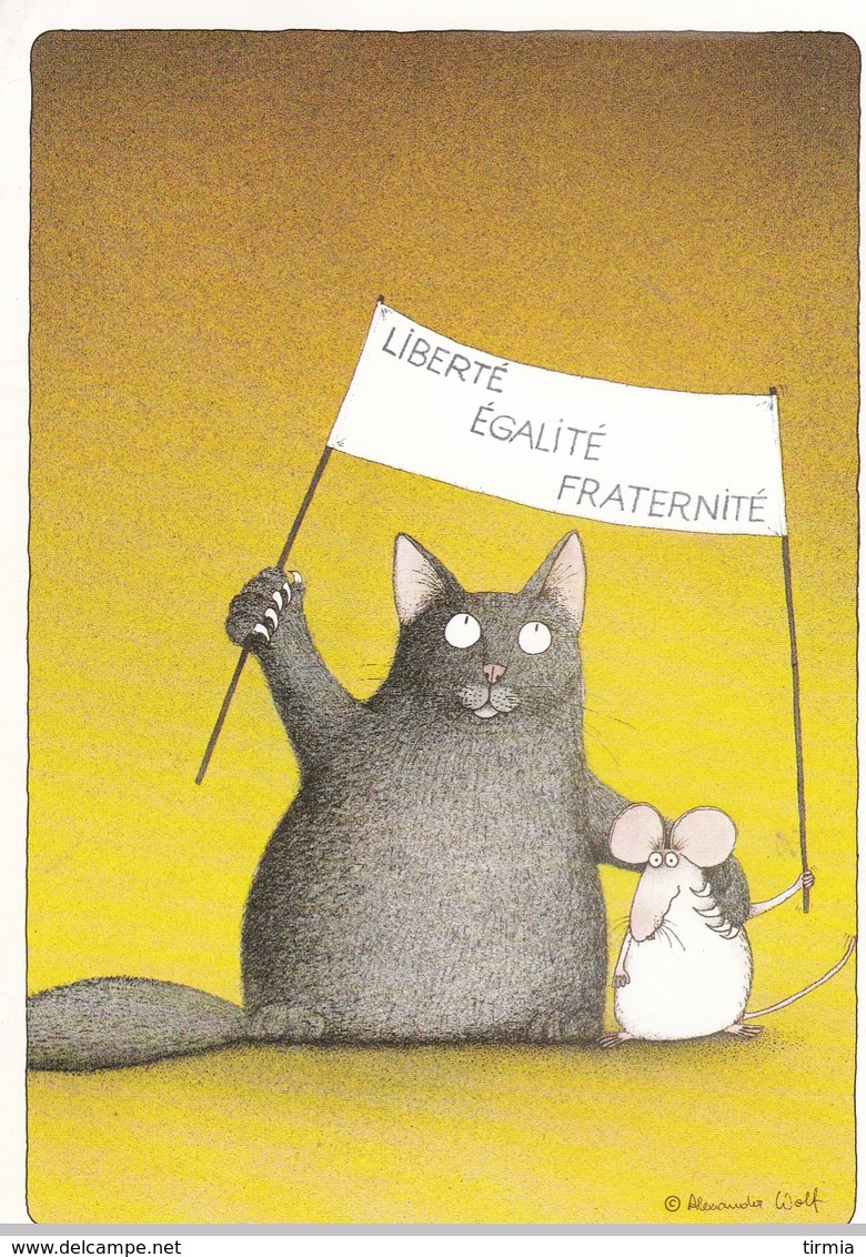 Le Chat Et Souris - Humour