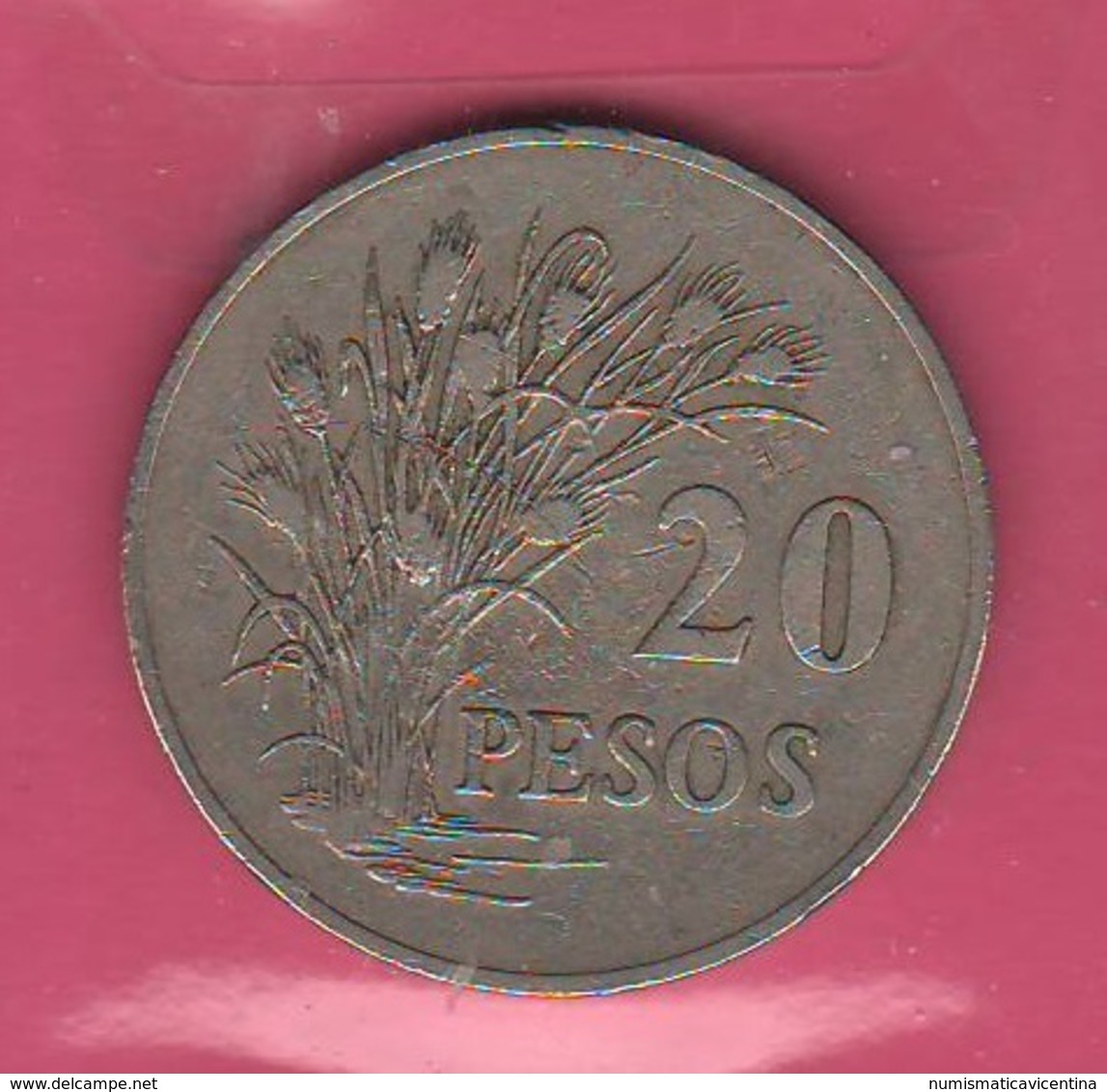 20 Pesos 1977 FAO Guinea Bissau Guinè Bissau - Guinea-Bissau