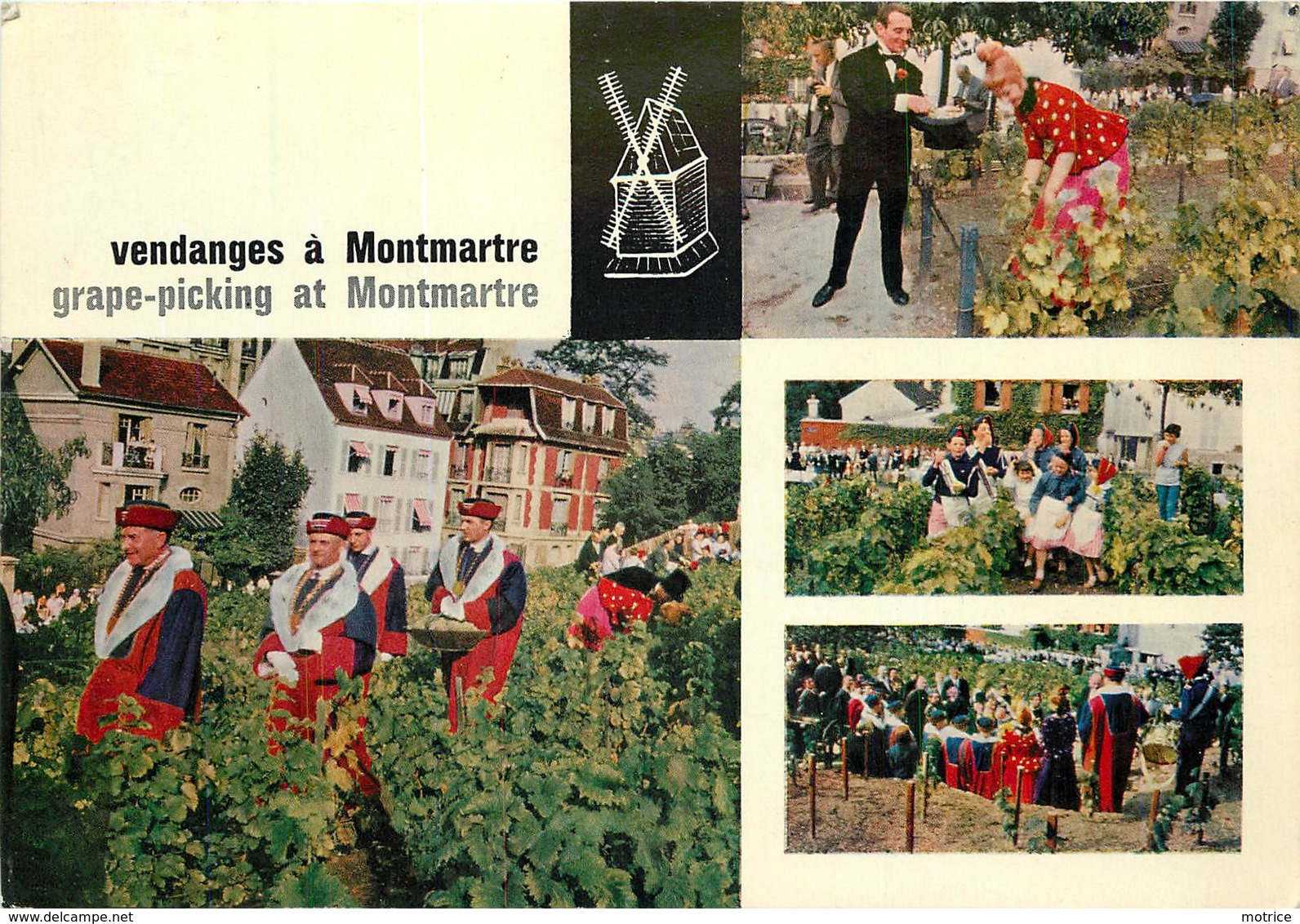 PARIS - Vendanges à Montmartre,carte Multi-vues. - Vignes