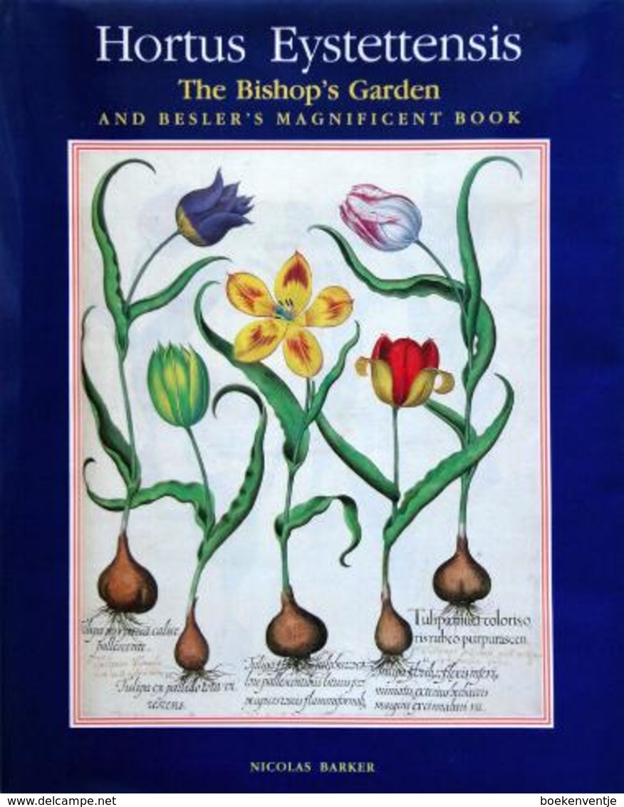 Hortus Eystettensis - The Bishop's Garden And Besler's Magnificent Book - Fine Arts