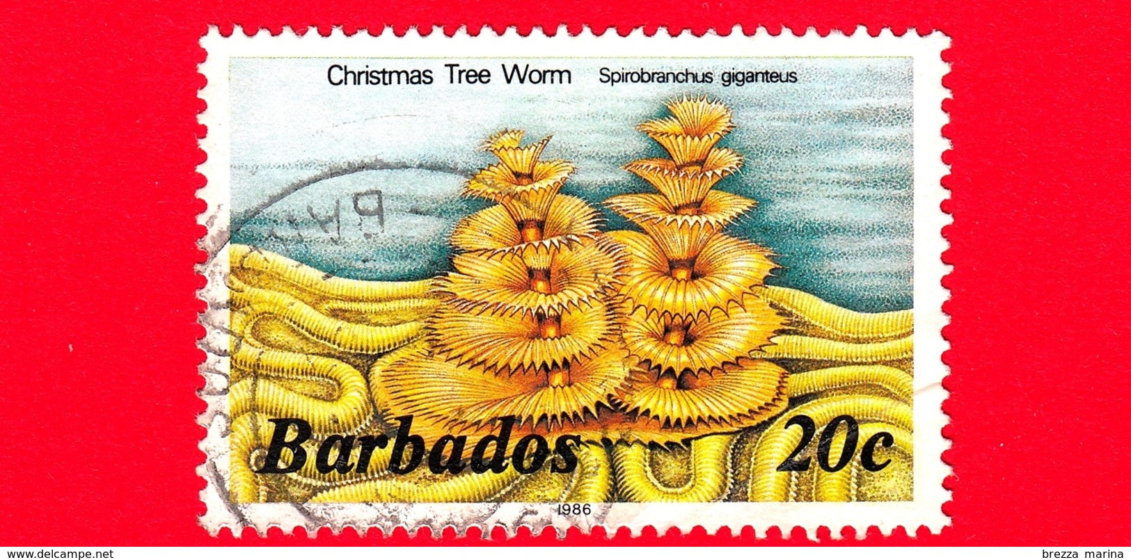 BARBADOS - Usato - 1986 - Coralli E Spugne - Christmas Tree Worm (Spirobranchus Giganteus) - 20 - Barbados (1966-...)