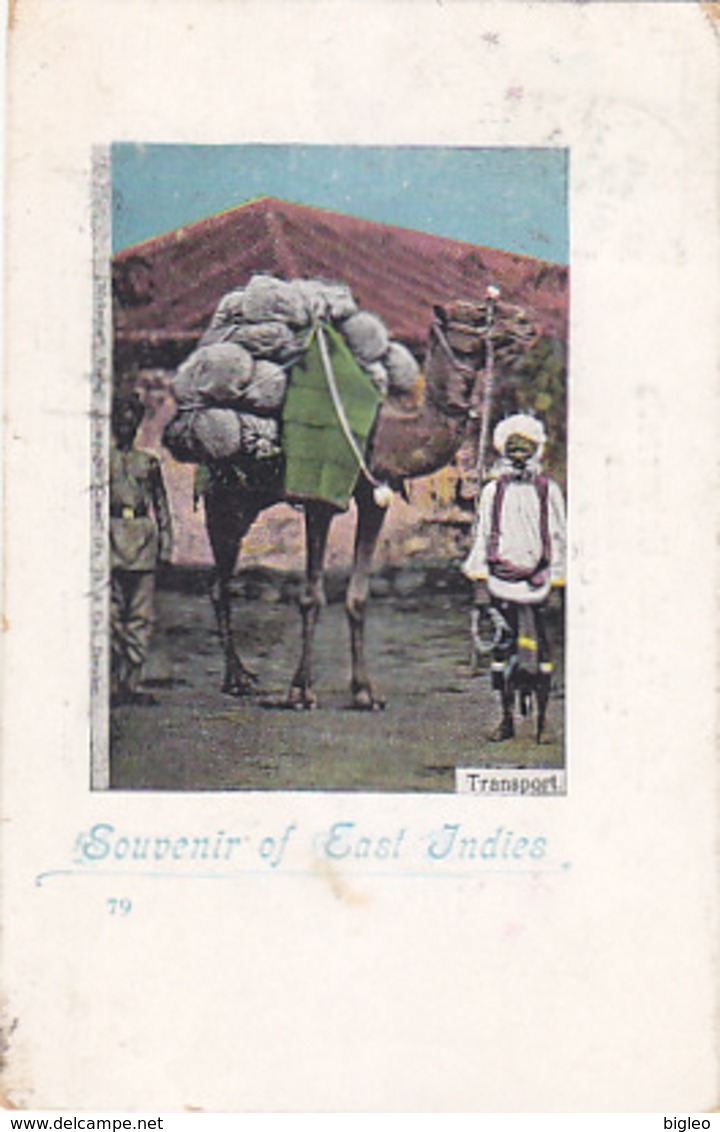 Souvenir Of East Indies - Transport - 1899    (A-73-170712) - Indien