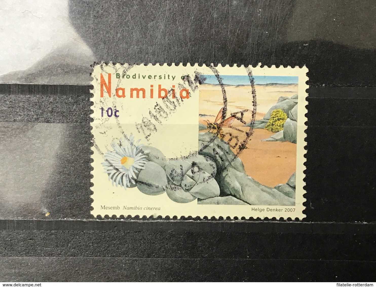 Namibië / Namibia - Biodiversiteit (10) 2007 - Namibië (1990- ...)