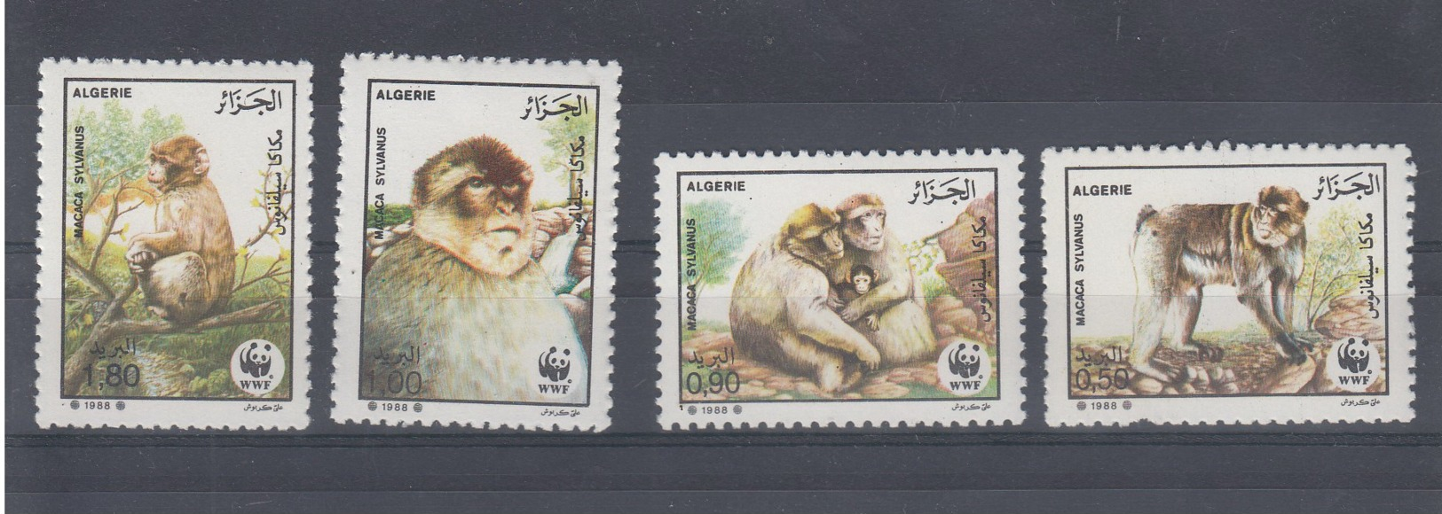 Algerien Michel Cat.No.   Mnh/**  972/975 Wwf - Algérie (1962-...)