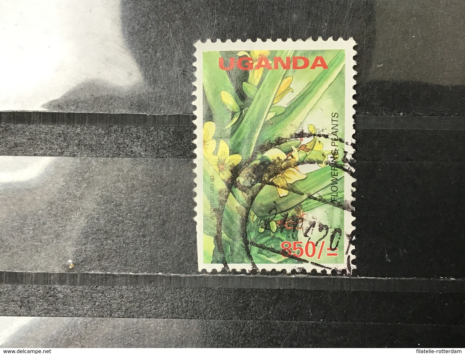 Oeganda / Uganda - Bloemen (850) 2005 - Oeganda (1962-...)