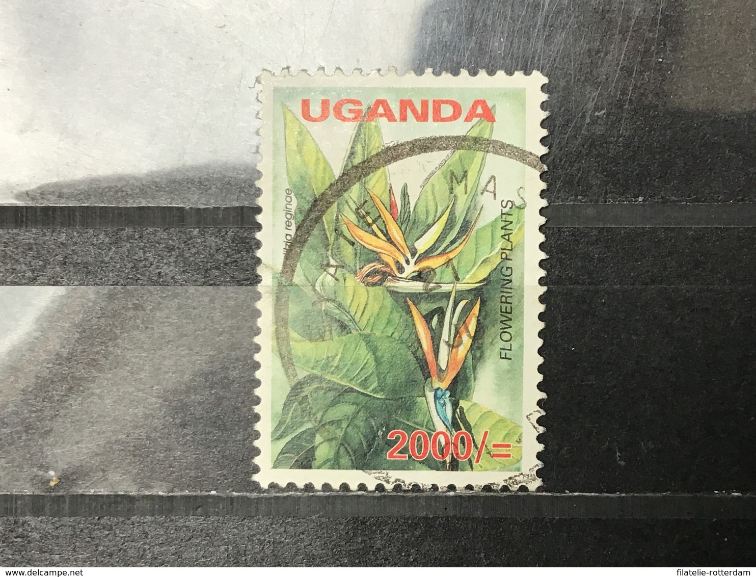 Oeganda / Uganda - Bloemen (2000) 2005 - Oeganda (1962-...)