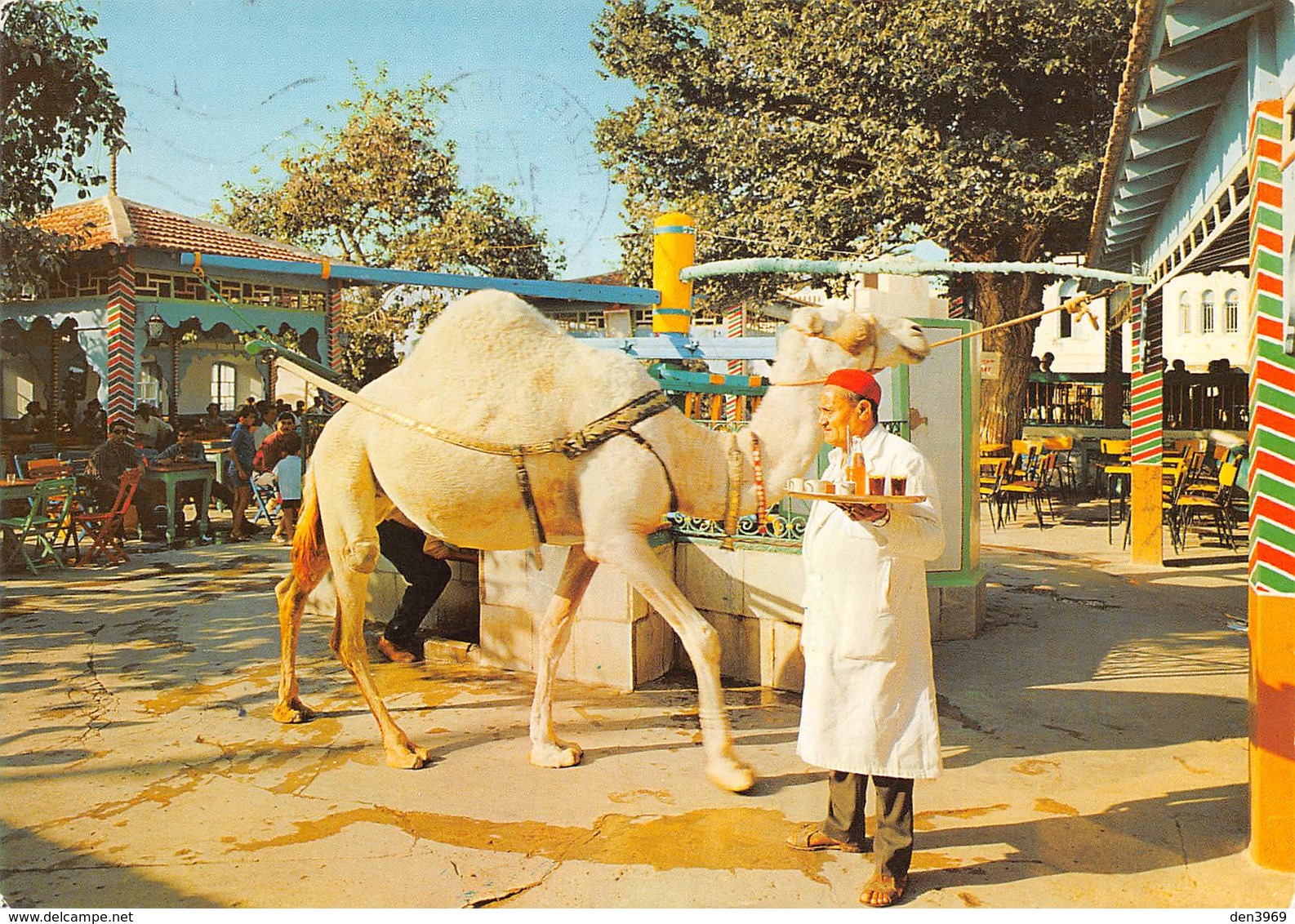 Tunisie - La MARSA - Le Café Saf-Saf - Dromadaire - Tunisie