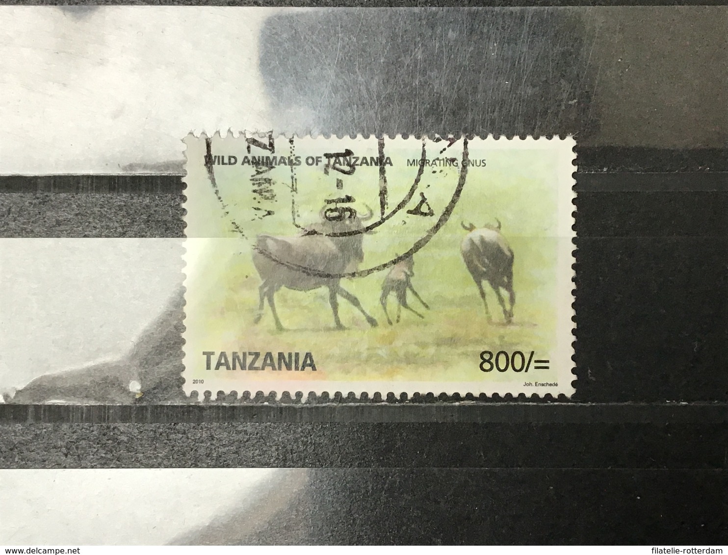 Tanzania - Wilde Dieren (800) 2010 - Tanzania (1964-...)