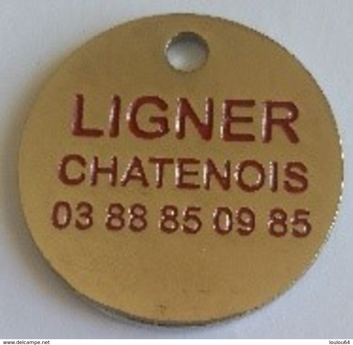 Jeton De Caddie - Automobiles - FIAT - PROFESSIONAL - LIGNER - CHATENOIS (67) - En Métal - Neuf - - Jetons De Caddies