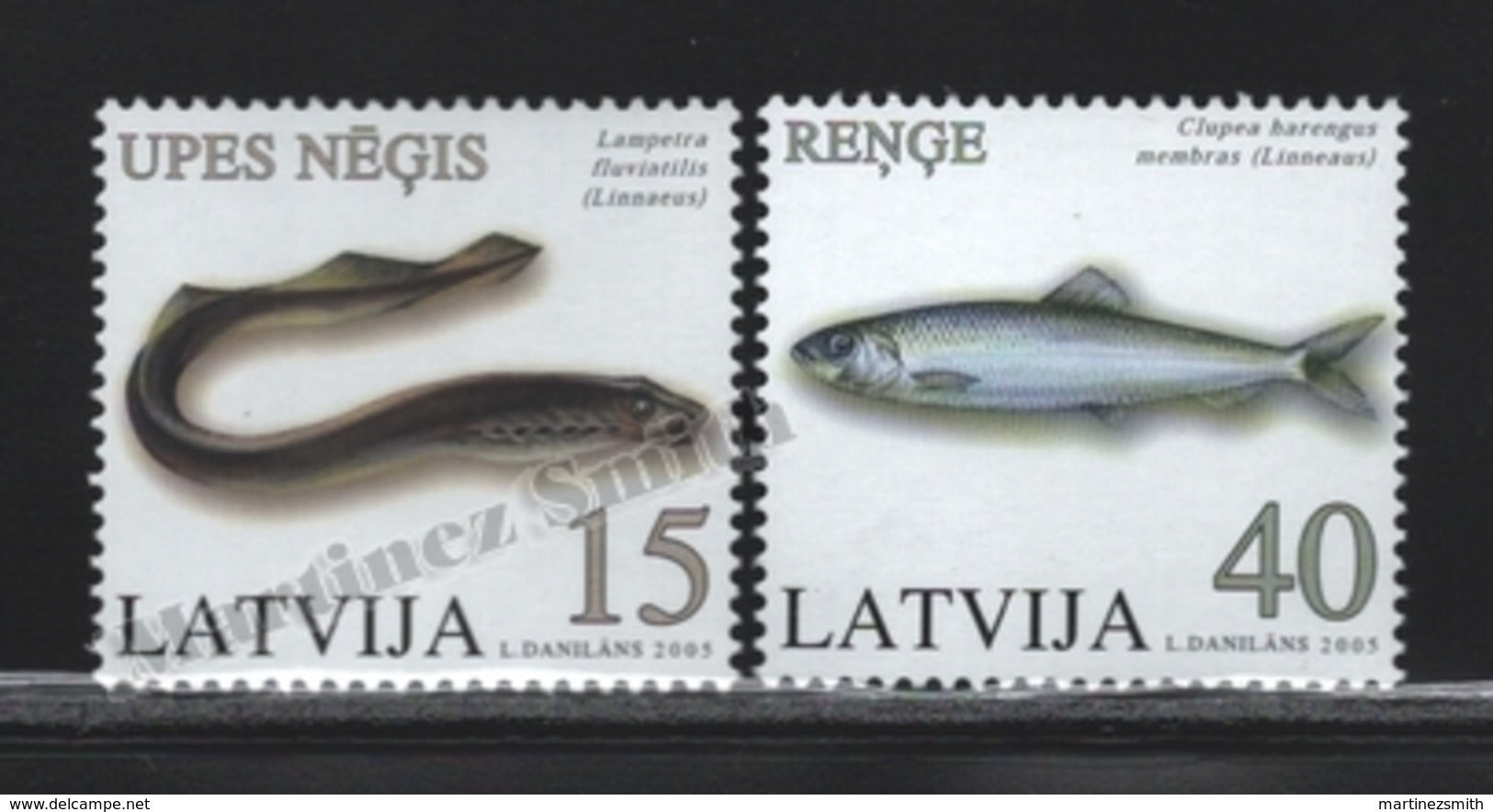 Lettonie – Latvia – Letonia 2005 Yvert 612-13, Fauna, Fishes - MNH - Latvia