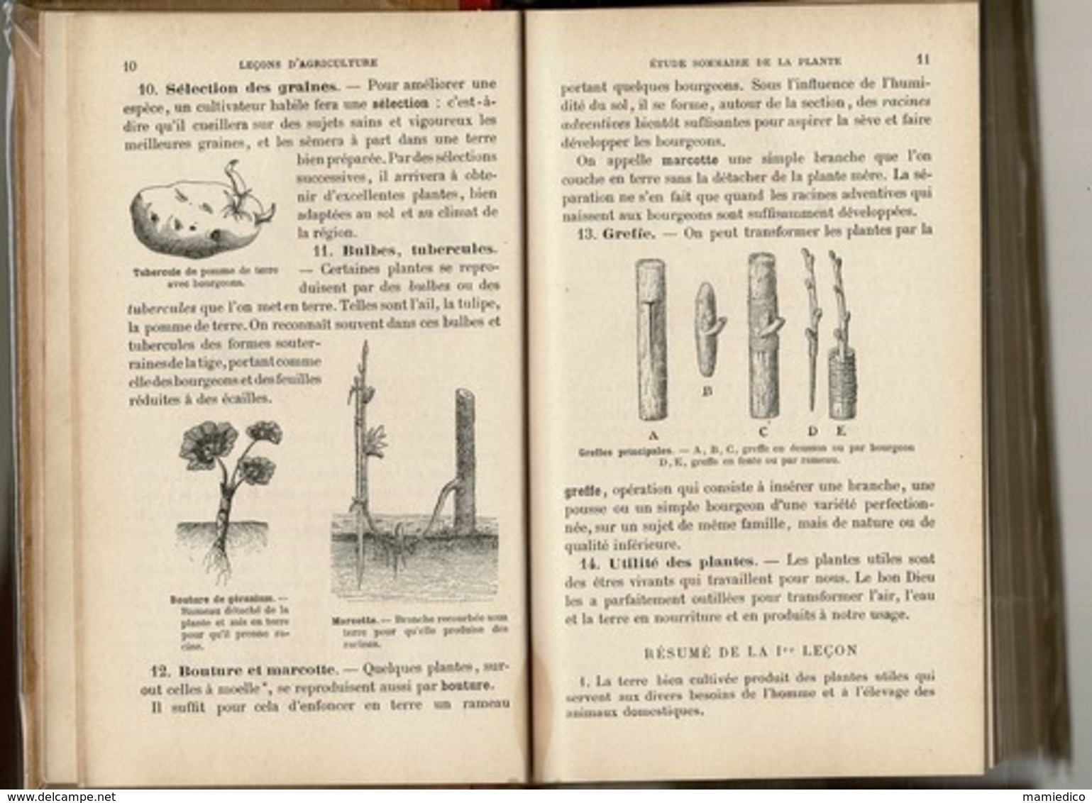 1897 Leçons D'AGRICULTURE Et D' HORTICULTURE Par Les Frères Des Ecoles Chrétiennes. Vendu En L'état. - 12-18 Ans