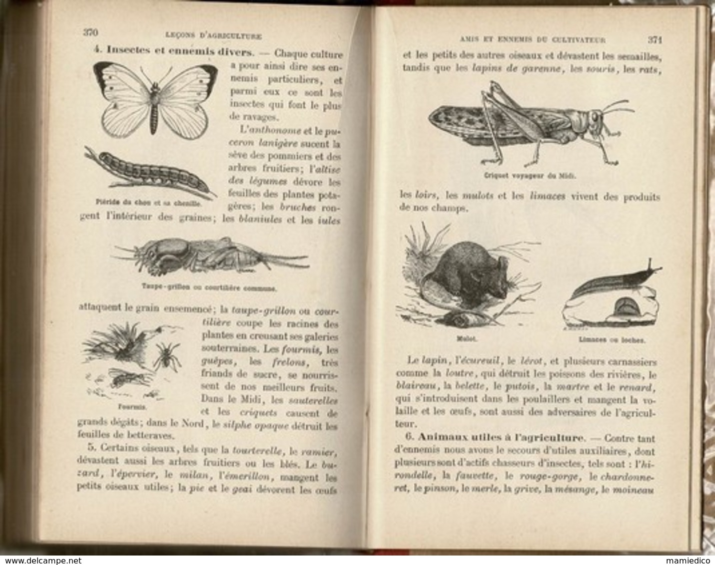 1897 Leçons d'AGRICULTURE et d' HORTICULTURE par les Frères des Ecoles Chrétiennes. Vendu en l'état.