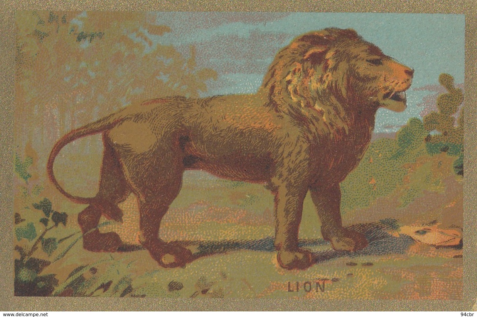 CPA (image Bon Point)   Lion - Autres & Non Classés