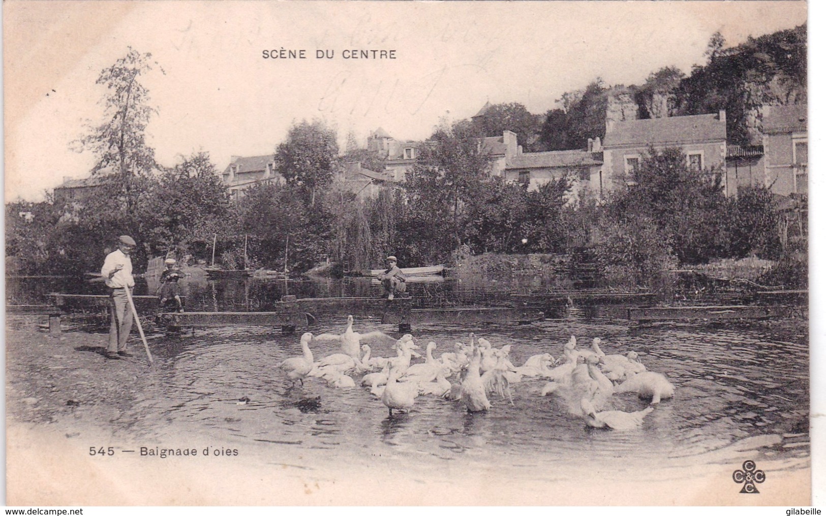 Agriculture -  Scene Du Centre -  Baignade D Oies - Fermes