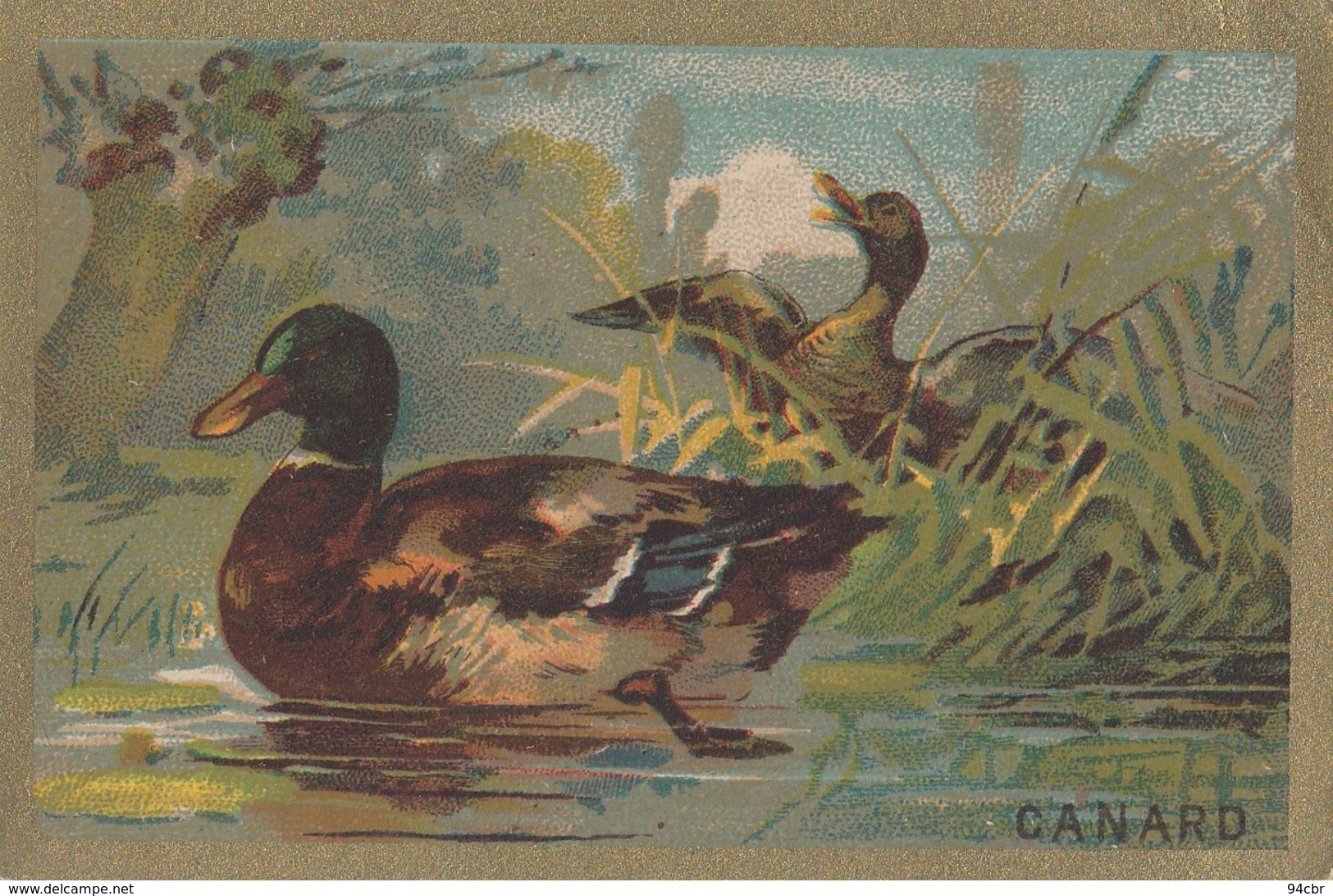 CPA (image Bon Point)   Canard - Autres & Non Classés