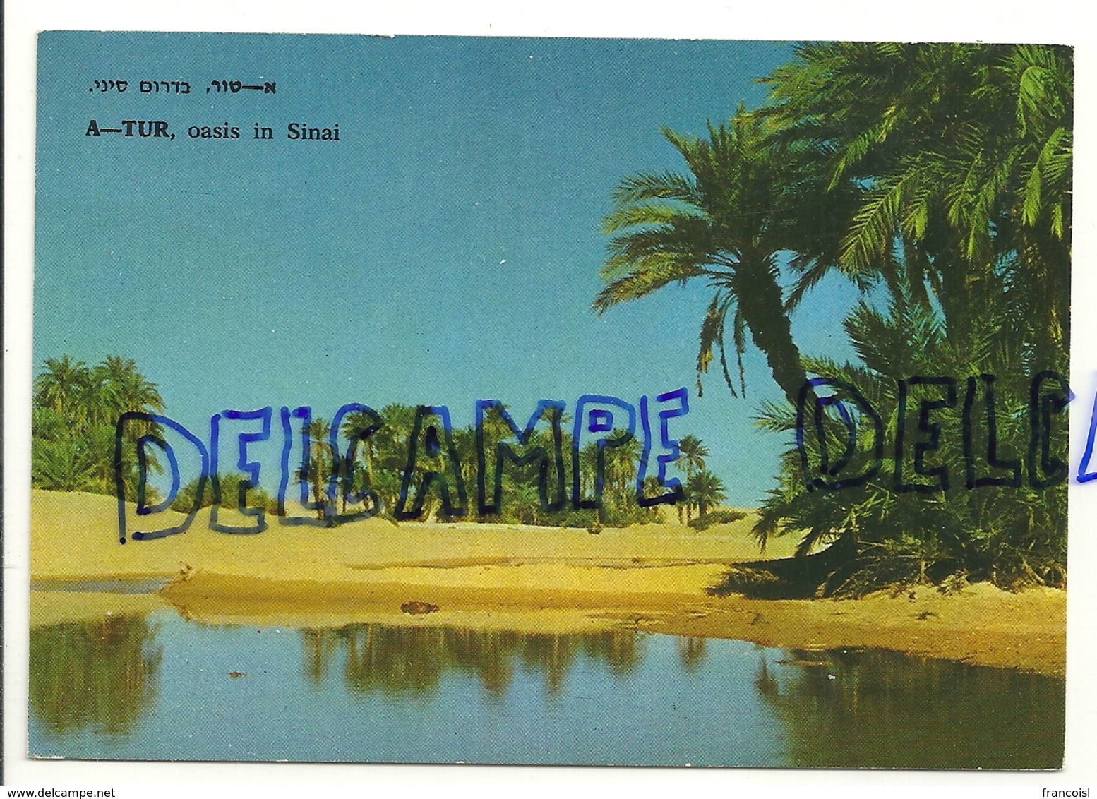 Israel. A-Tur. Oasis Du Désert Du Sinaï Près De La Baie Du Canal De Suez 1973. Palphot - Israël