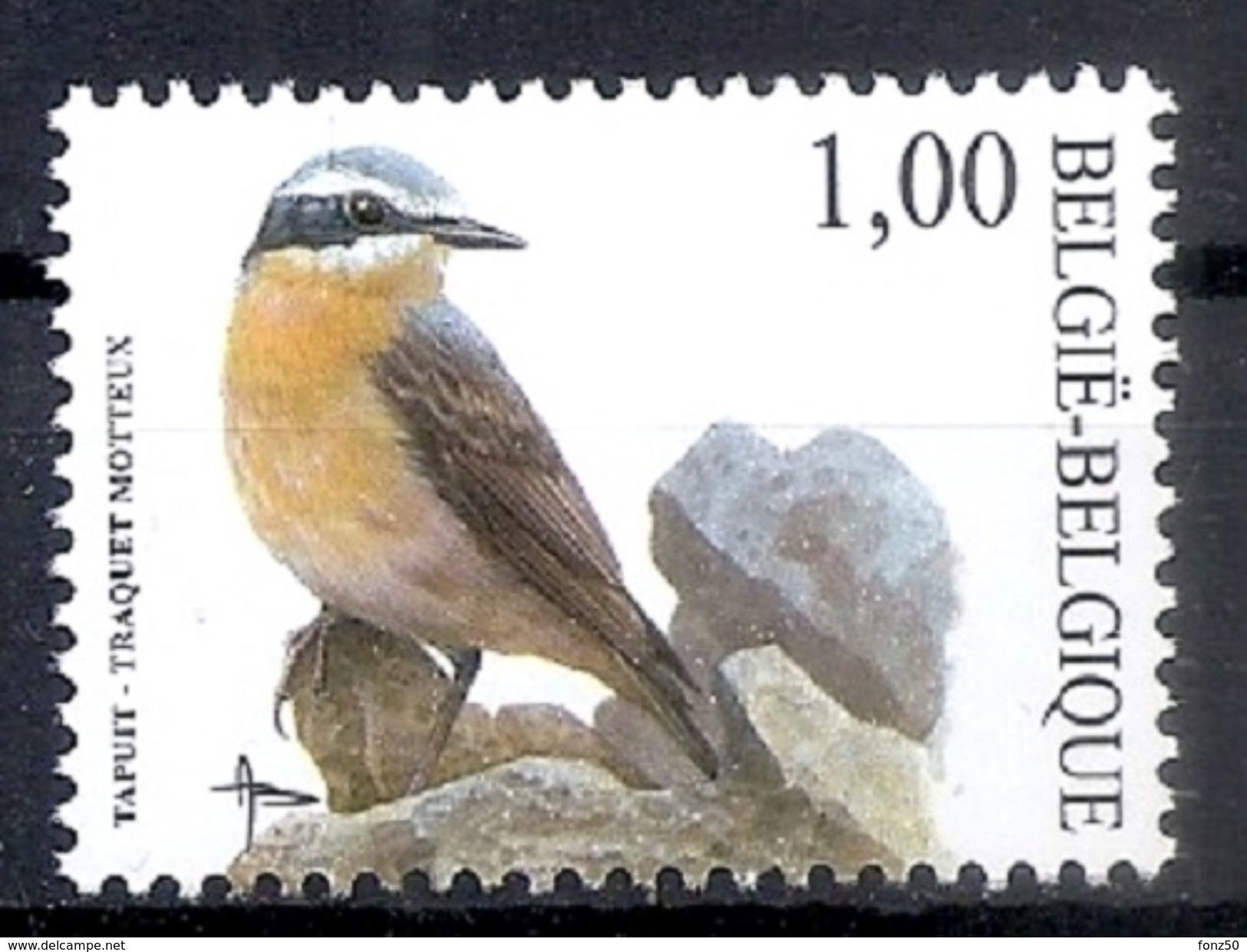 BELGIE * Buzin * Nr 3138 * Postfris Xx * WIT  PAPIER - 1985-.. Oiseaux (Buzin)