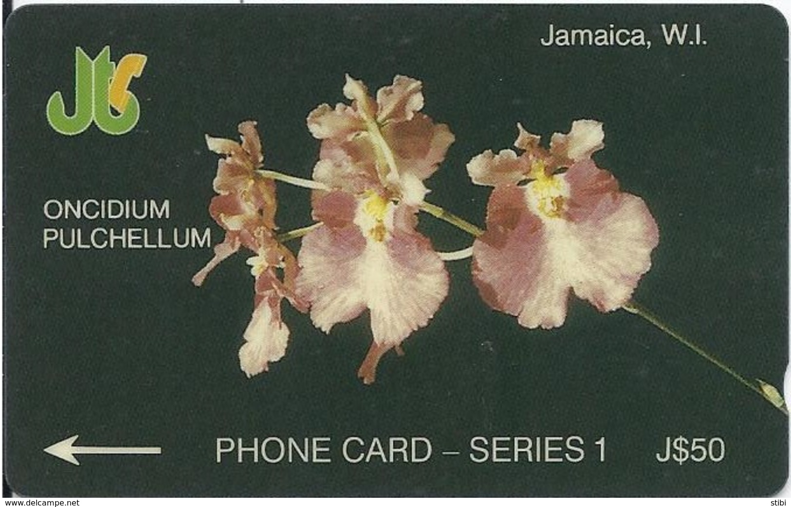 JAMAICA - ONCIDIUM PULCHELLUM - 6JAME - Jamaica