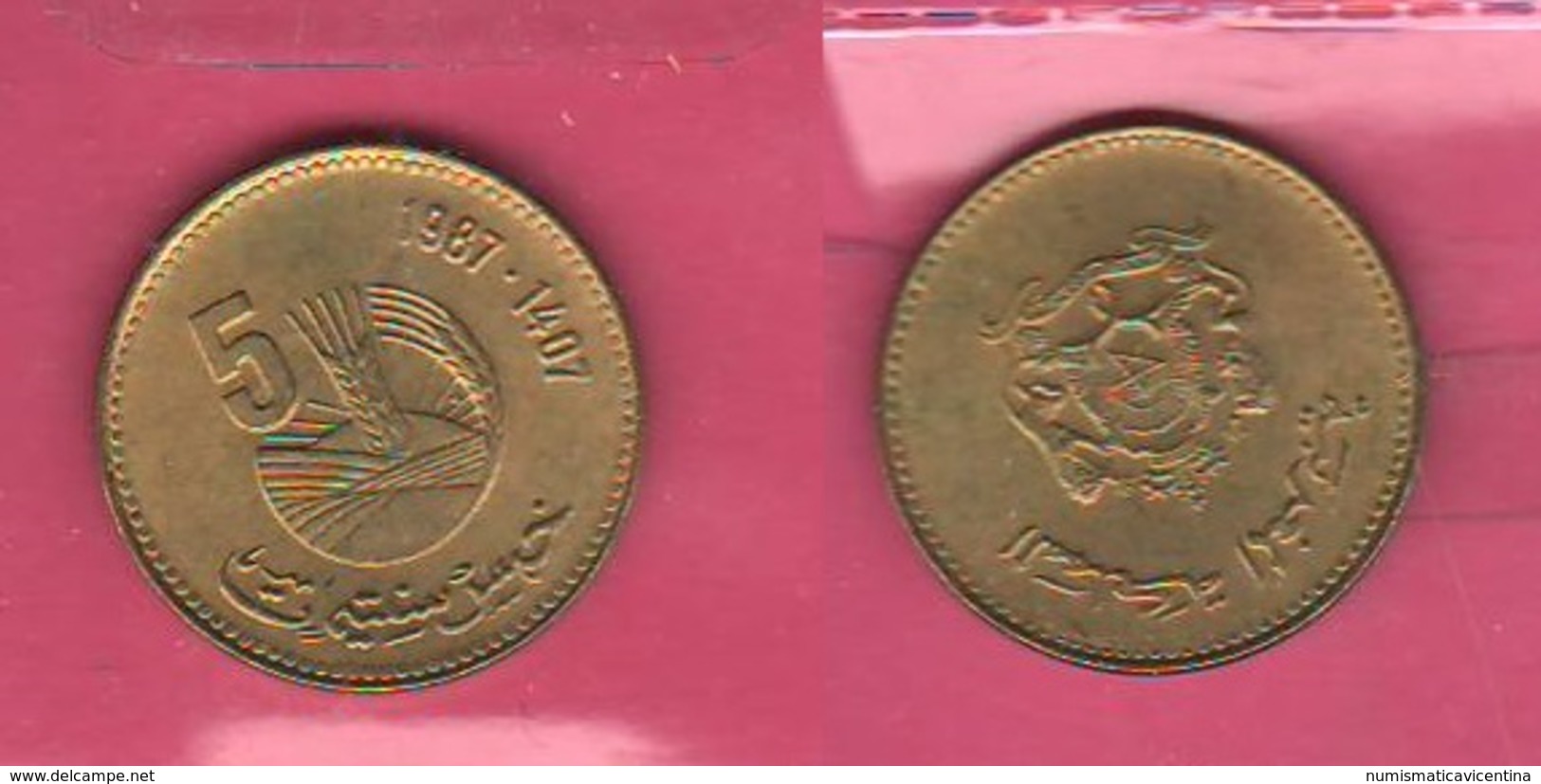 5 Santinat 1987 FAO Marocco - Marocco