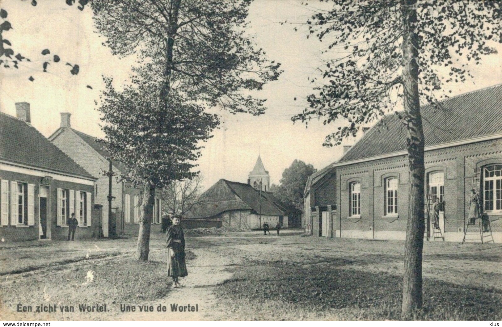 Belgium Een Zicht Van Wortel - Hoogstraten