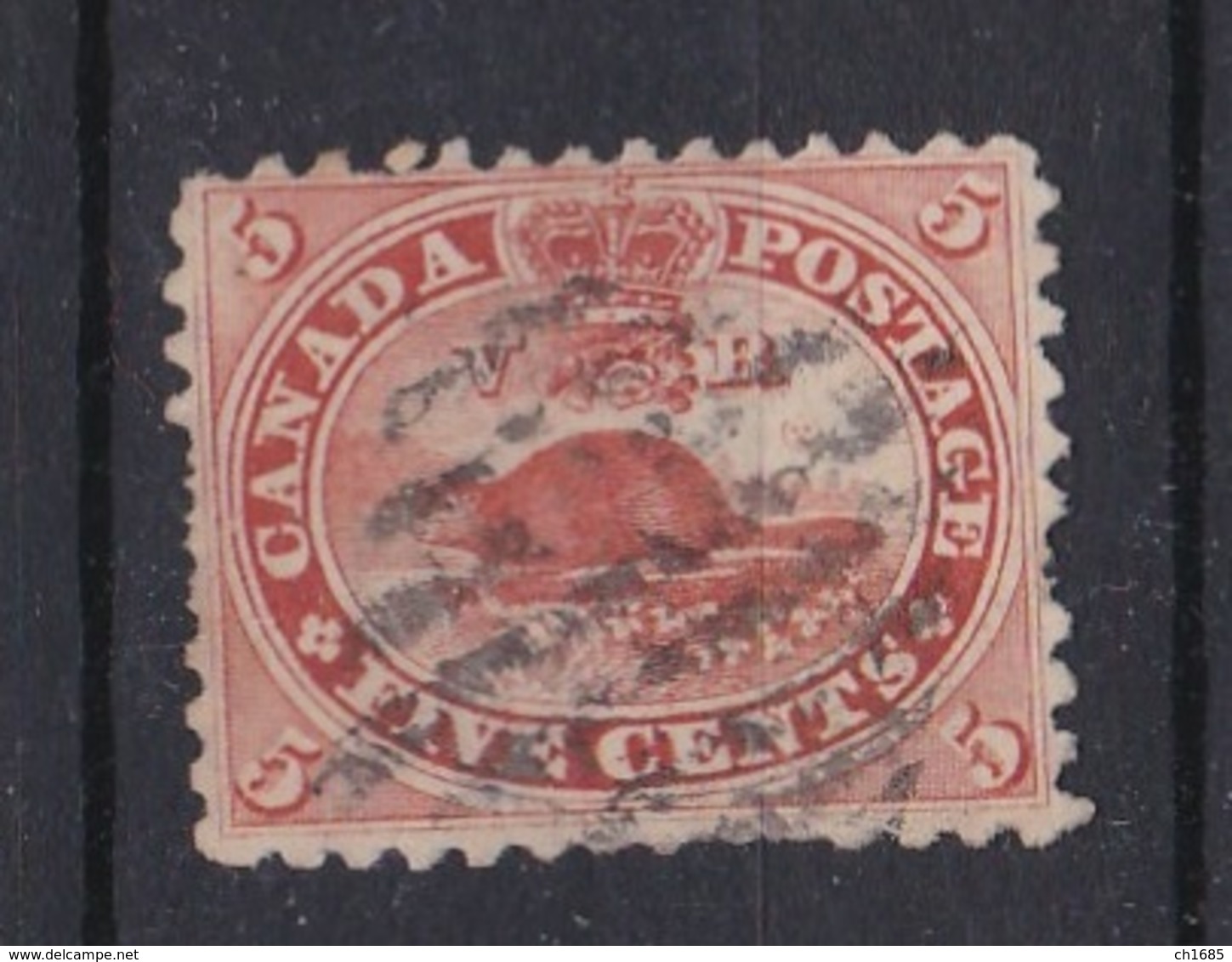 CANADA :  No 14 (o)  Castor Cote 25 € - Oblitérés