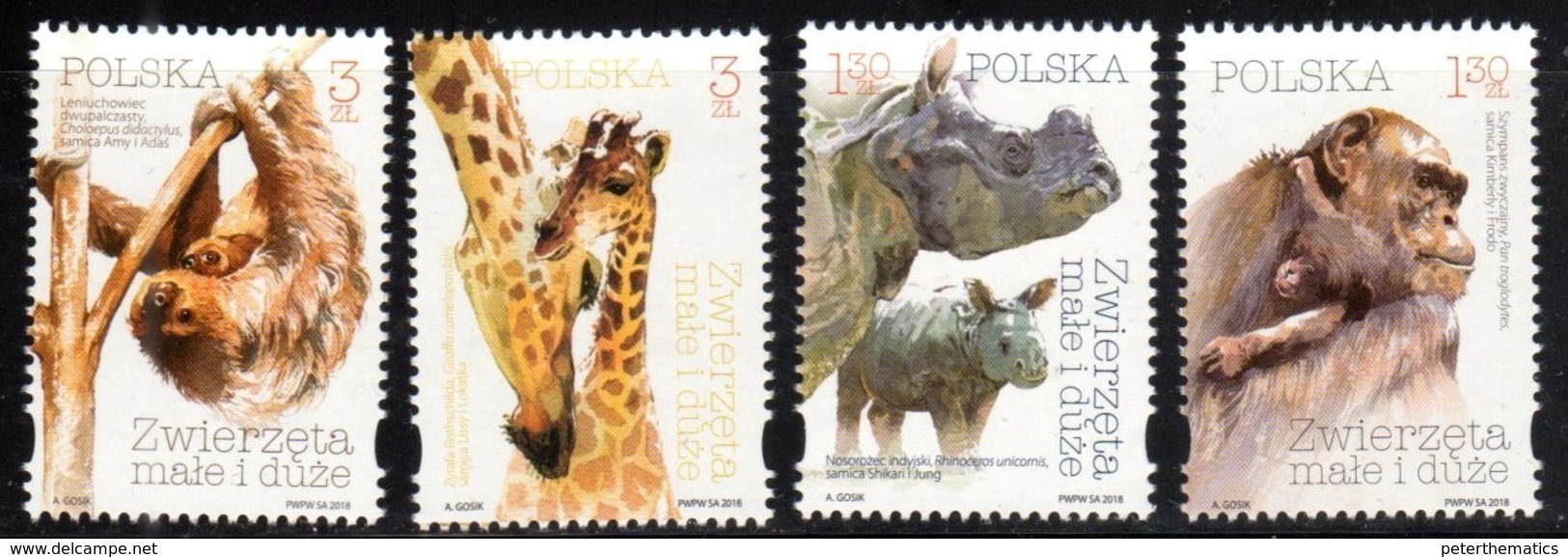 POLAND, 2018, MNH, FAUNA, GIRAFFES, RHINOS, SLOTH BEARS, PRIMATES, CHIMPANZEES, 4v - Chimpanzees