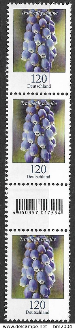 2019 Allem. Fed. Deutschland Germany  Mi.3447R   Nr. 45 Blumen: Traubenhyazinthe (Muscari Sp.) - Ungebraucht