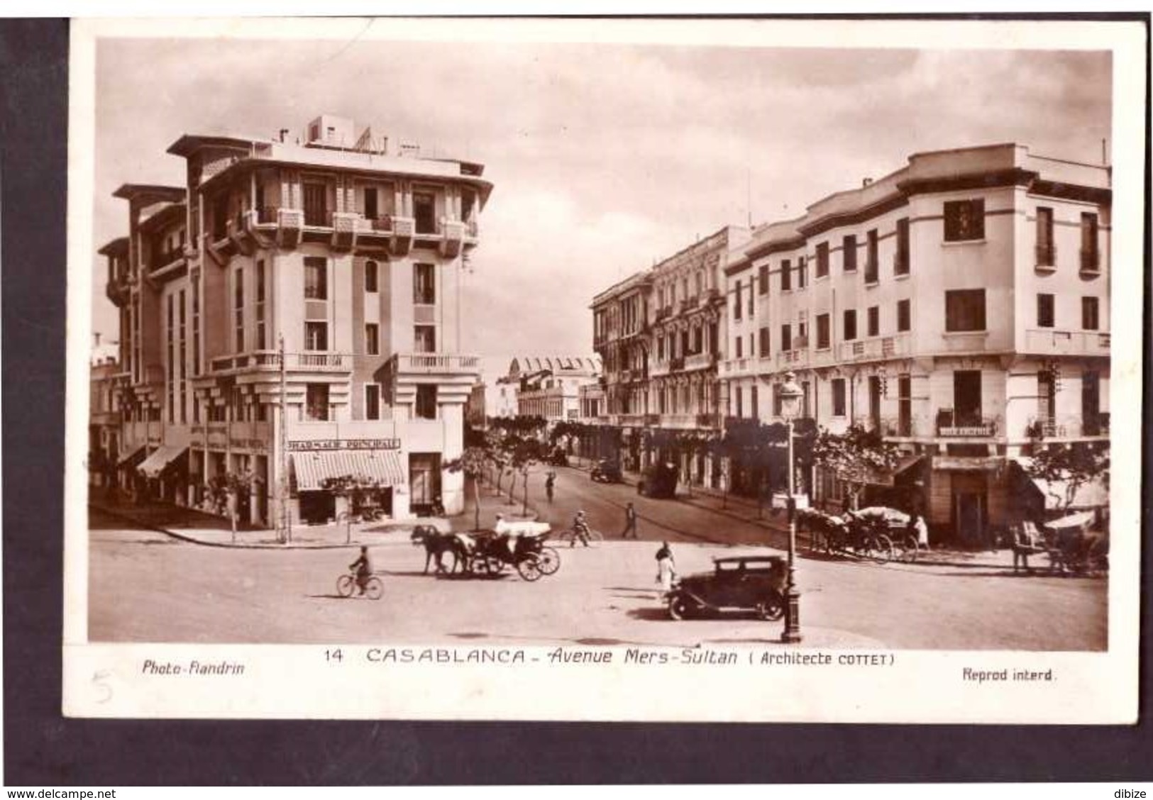 CPSM. Maroc. Casablanca. Avenue Mers-Sultan. Etat Moyen. Animation. Vieilles Voitures. Charrettes. Photo Flandrin. - Casablanca