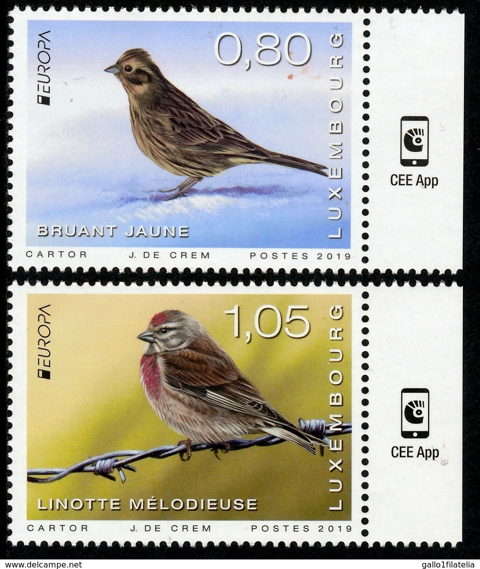 2019 - LUSSEMBURGO / LUXEMBOURG - EUROPA  CEPT - UCCELLI / BIRDS - SET COMPLETO. MNH. - 2019