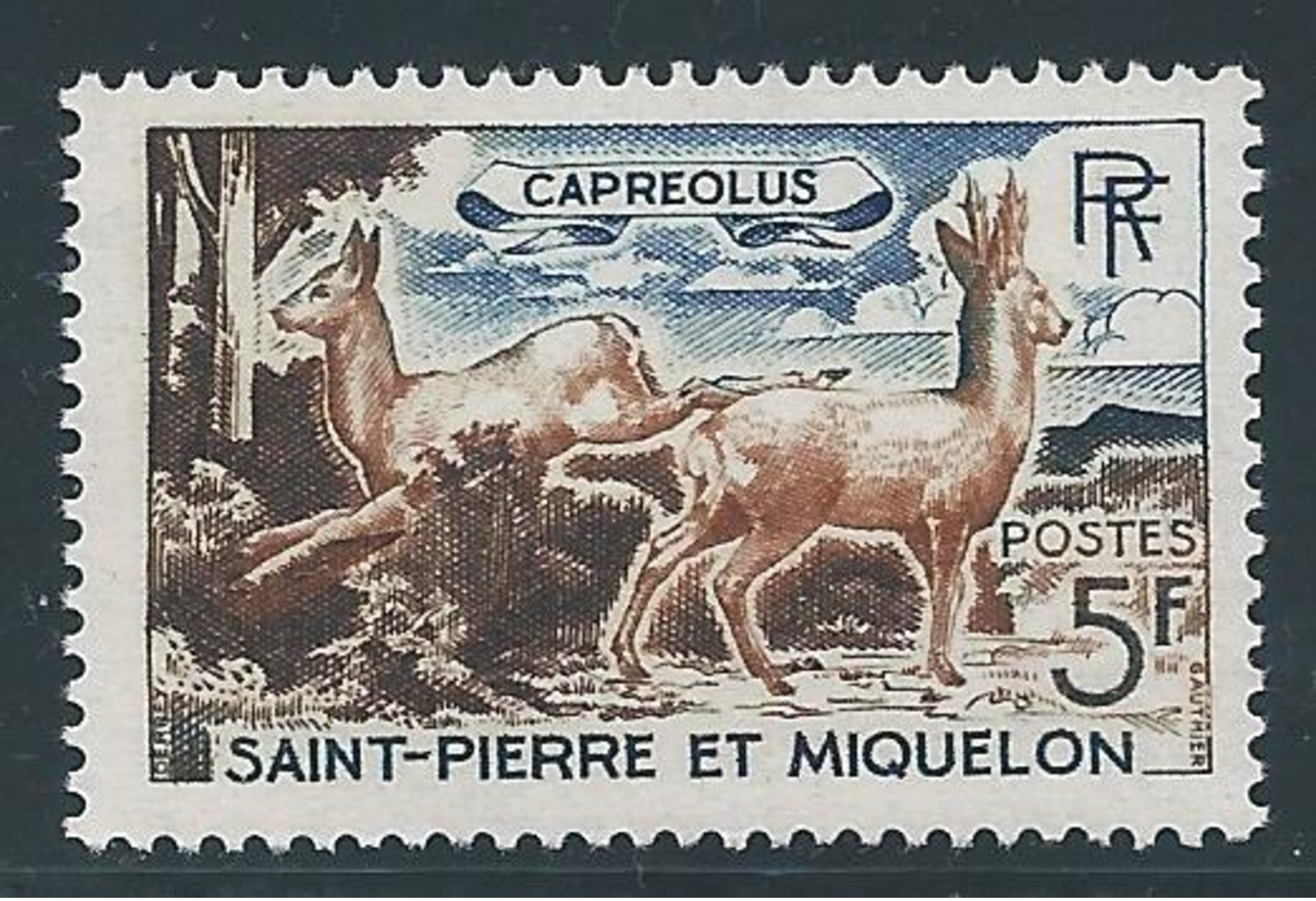 Saint PIERRE Et MIQUELON - 1964 - Y.T. N°374 - 5 F. Chevreuils - Animaux - Neuf** MNH - TTB - Nuevos