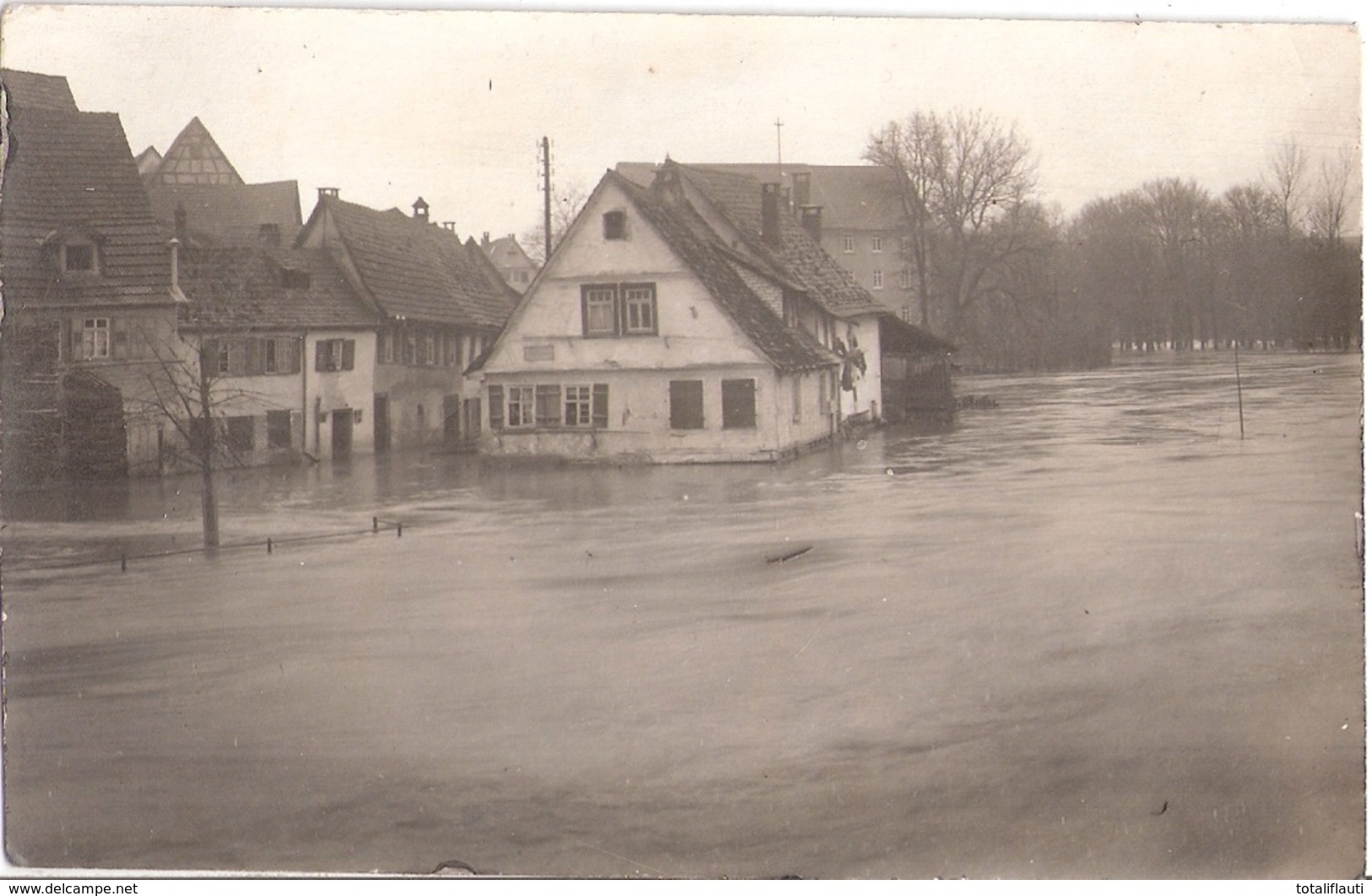 WAIBLINGEN 1919 Weihnachts Hochwasser Original Private Fotokarte Ungelaufen - Waiblingen