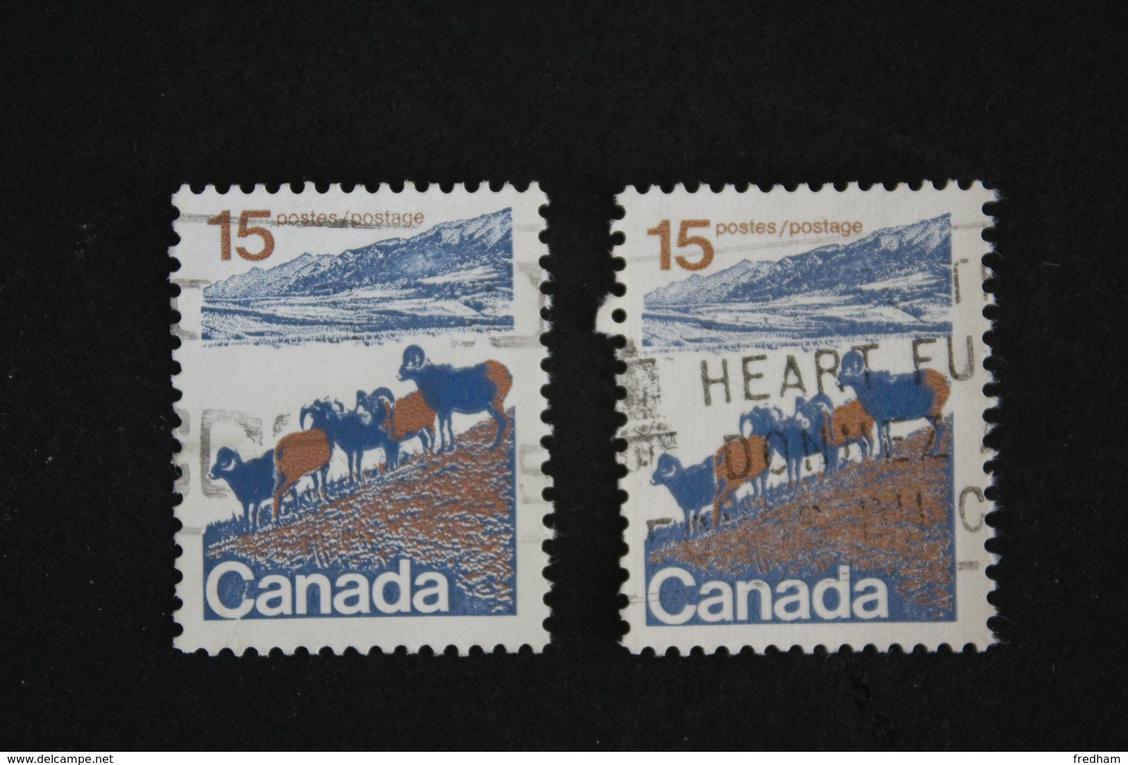 TIMBRE CANADA 15  MOUFLON VARIETE IMPRESSION DEFECTUEUSE  COULEUR PASSEE TIMBRE DE DROITE 1972. - Variedades Y Curiosidades