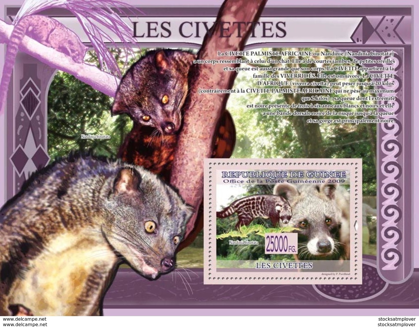 Guinea 2009 Fauna  Nocturnal Mammal, Civets - Guinea (1958-...)